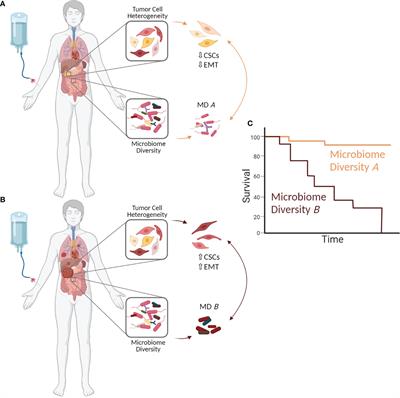 The Microbiome Tumor Axis: How the Microbiome Could Contribute to Clonal Heterogeneity and Disease Outcome in Pancreatic Cancer